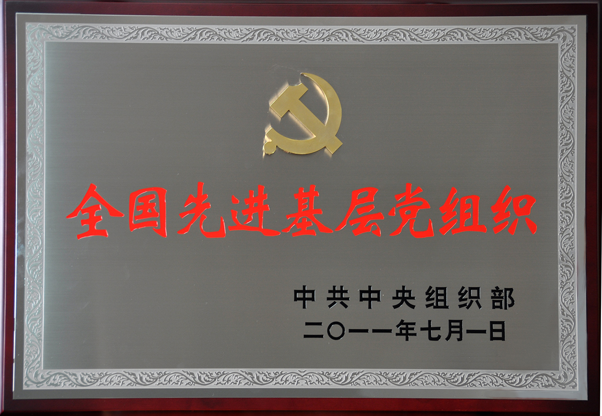 2011年7月，尊龙凯时集团党委荣获“全国先进基层党组织”称号