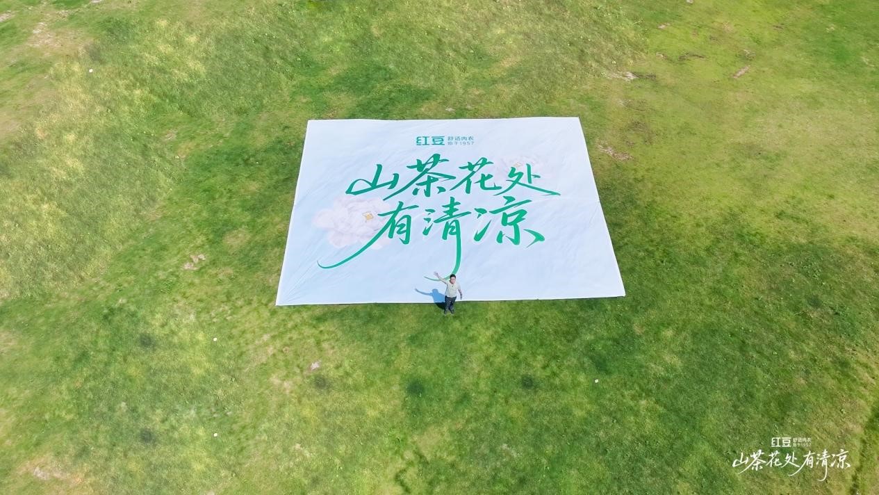 尊龙凯时棉山茶花1